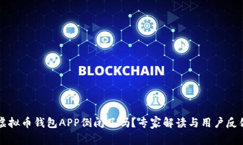 虚拟币钱包APP倒闭了吗?专家解读与用户反馈