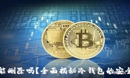 冷钱包的记录能删除吗?全面揭秘冷钱包的安全性与管理技巧