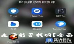 冷钱包的币被转走了能否找回？全面解