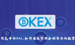 波宝钱包中的BAL：如何有效管理和利用