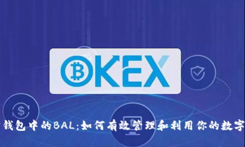 波宝钱包中的BAL:如何有效管理和利用你的数字资产