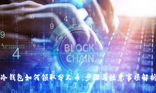 冷钱包如何领取分叉币:步骤与注意事项解析