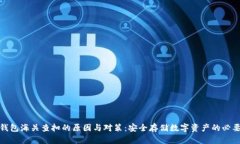 冷钱包海关查扣的原因与对策：安全存