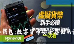 DSIM 冷钱包：数字货币安全存储的最佳