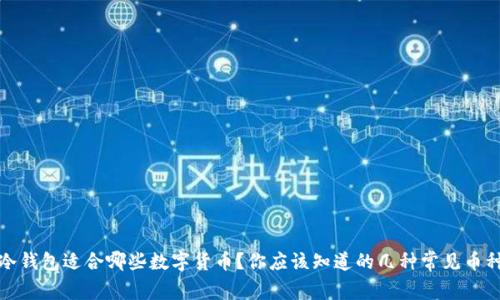 冷钱包适合哪些数字货币?你应该知道的几种常见币种