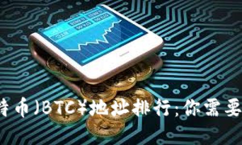 2023年比特币(BTC)地址排行:你需要知道的一切