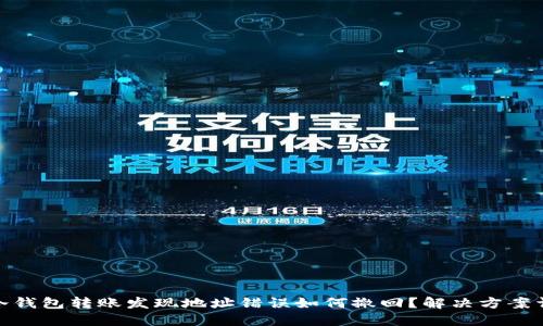 : 冷钱包转账发现地址错误如何撤回?解决方案详解