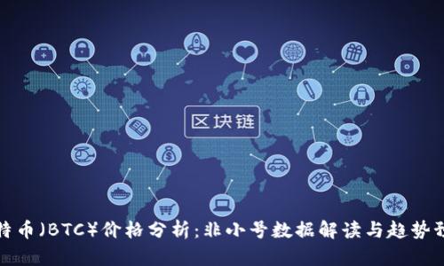 比特币(BTC)价格分析:非小号数据解读与趋势预测