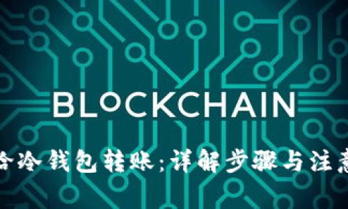 如何给冷钱包转账:详解步骤与注意事项