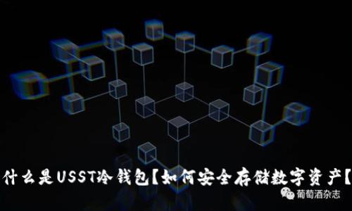 什么是USST冷钱包?如何安全存储数字资产?