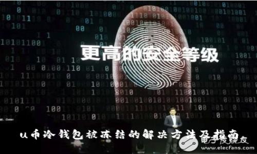 u币冷钱包被冻结的解决方法及指南