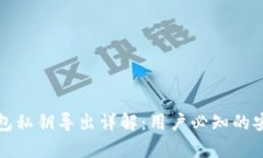 观察钱包私钥导出详解：用户必知的安