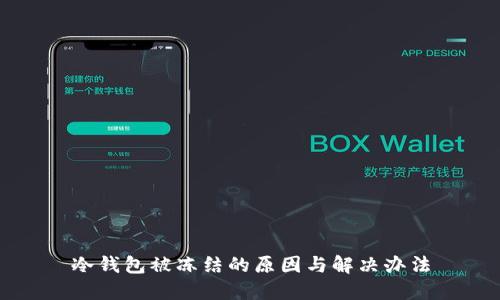 冷钱包被冻结的原因与解决办法