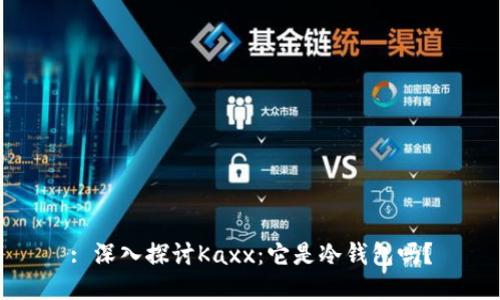 : 深入探讨Kaxx:它是冷钱包吗?