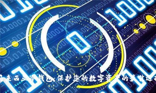 马来西亚冷钱包:保护您的数字资产的最佳选择