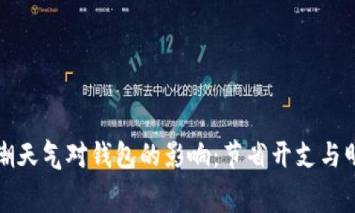 如何有效应对寒潮天气对钱包的影响:节省开支与明智消费的小技巧