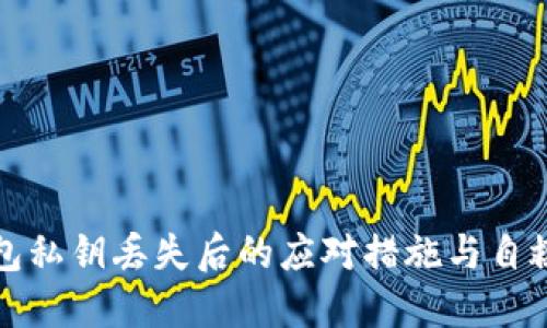 冷钱包私钥丢失后的应对措施与自救指南