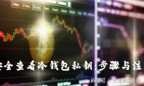 如何安全查看冷钱包私钥:步骤与注意事项