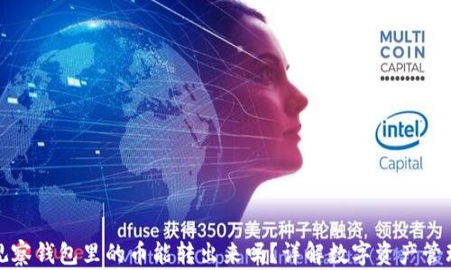 观察钱包里的币能转出来吗?详解数字资产管理