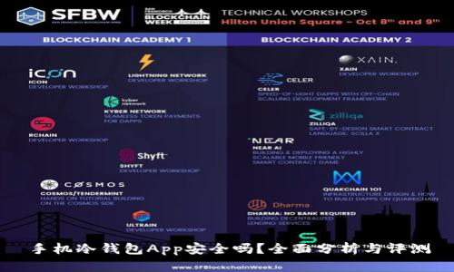 手机冷钱包App安全吗?全面分析与评测
