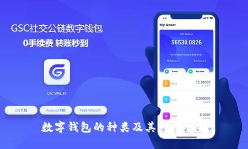 数字钱包的种类及其对比解析