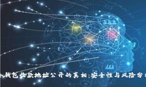 冷钱包收款地址公开的真相:安全性与风险分析