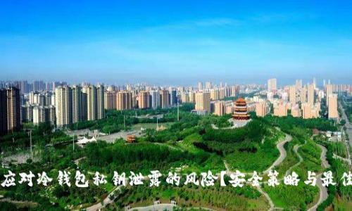 如何应对冷钱包私钥泄露的风险?安全策略与最佳实践
