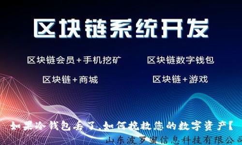 如果冷钱包丢了,如何挽救您的数字资产?