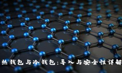 热钱包与冷钱包:导入与安全性详解
