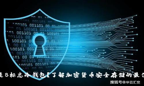 什么是B标志冷钱包?了解加密货币安全存储的最佳选择