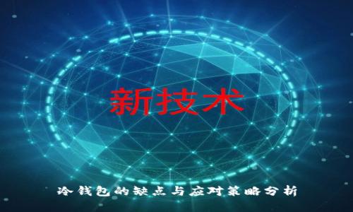 冷钱包的缺点与应对策略分析