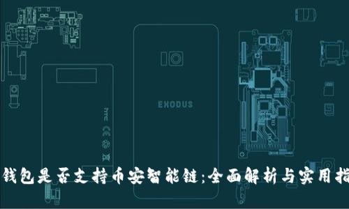 冷钱包是否支持币安智能链:全面解析与实用指南