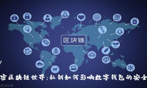 div
解密区块链世界:私钥如何影响数字钱包的安全性