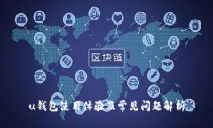 u钱包使用体验及常见问题解析