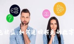 冷钱包被盗：如何追回损失的数字货币
