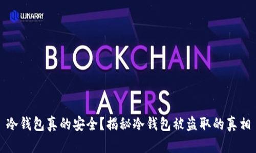 冷钱包真的安全?揭秘冷钱包被盗取的真相