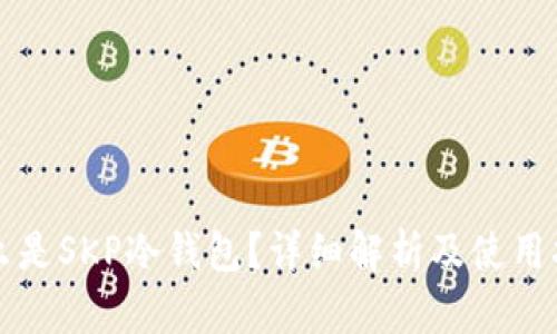 什么是SKP冷钱包?详细解析及使用指南
