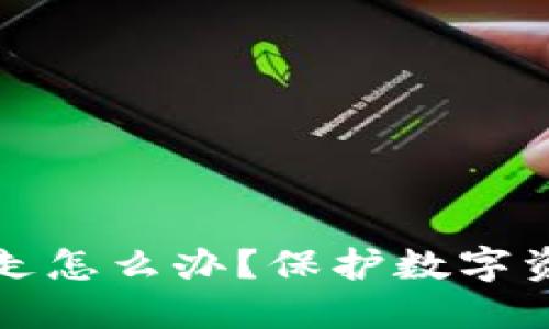 冷钱包币被划走怎么办?保护数字资产的全面指南