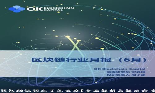 钱包助记词忘了怎么办?全面解析与解决方案