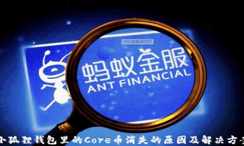 小狐狸钱包里的Core币消失的原因及解决方案