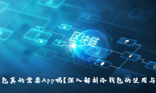 冷钱包真的需要App吗?深入解析冷钱包的使用与管理