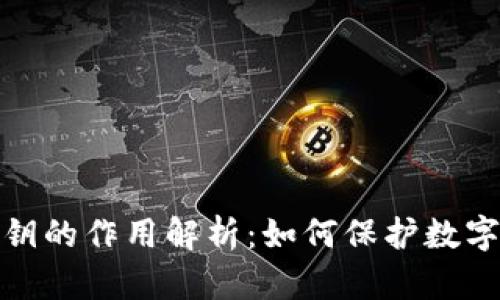 冷钱包私钥的作用解析:如何保护数字资产安全