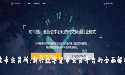 波币交易所:新兴数字货币交易平台的全面解析