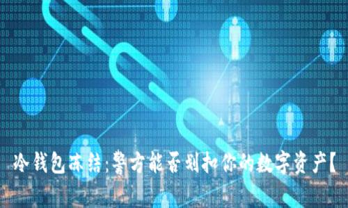 冷钱包冻结:警方能否划扣你的数字资产?