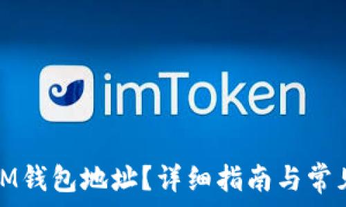 如何查看IM钱包地址?详细指南与常见问题解答