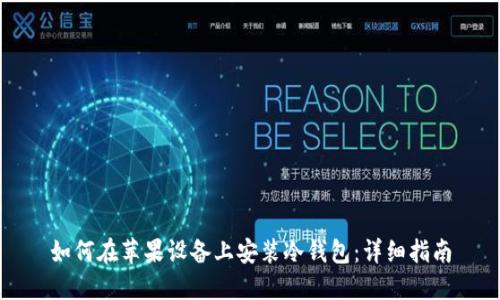 如何在苹果设备上安装冷钱包:详细指南