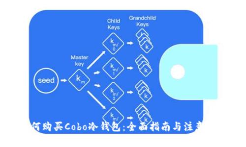 如何购买Cobo冷钱包:全面指南与注意事项