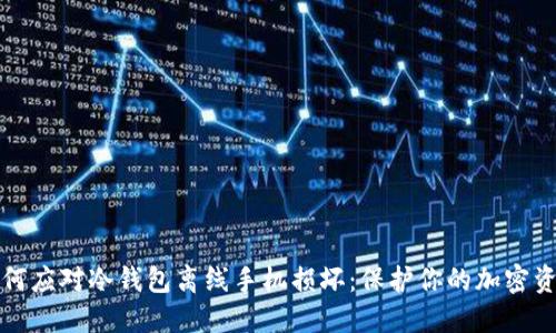 如何应对冷钱包离线手机损坏:保护你的加密资产