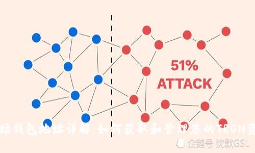 波场钱包地址详解:如何获取和管理您的TRON资产