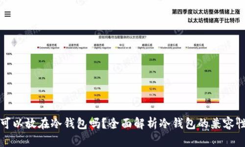 任何币都可以放在冷钱包吗?全面解析冷钱包的兼容性与安全性
